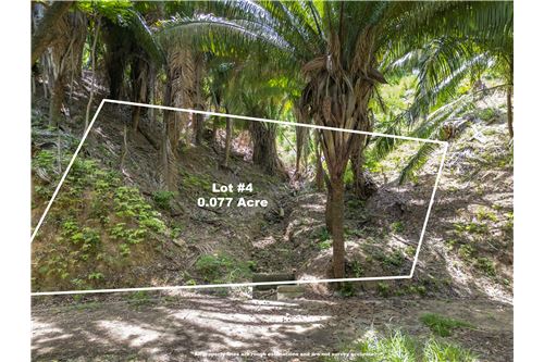 For Sale-Land-Roatan, Bay Islands, Honduras-90143009-409