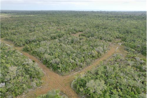 For Sale-Land-Mullins River Mullins River, Stann Creek District, Belize-90127022-75