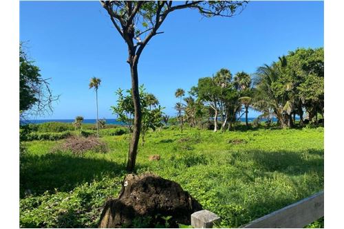 For Sale-Land-Utila, Bay Islands, Honduras-90182002-566