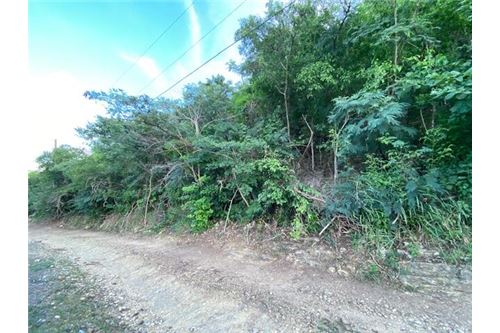 Land - For Sale - Bethlehem Old Work, St Croix, US Virgin Islands - 5 - 90123035-5