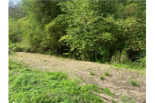 For Sale-Land-Tabaquite, Caroni, Trinidad and Tobago-90155109-147