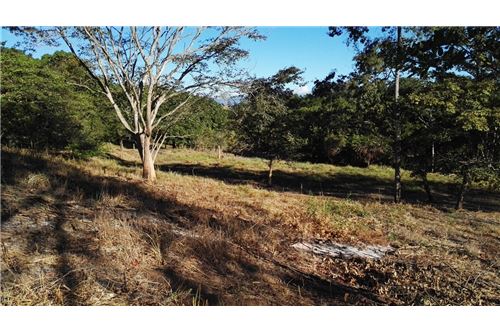 Te Koop-Grondstuk-Orotina, Alajuela- Orotina, Costa Rica-902701009-65
