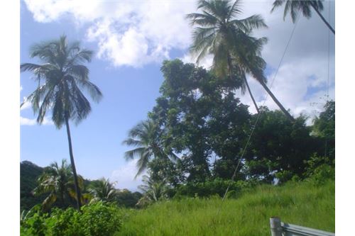 Land - For Sale - Anse La Verdure, Anse-la-Raye, St Lucia - 15 - 902071001-200