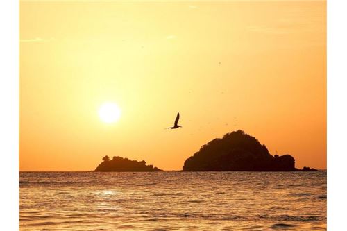 Land - For Sale - Antigua, Antigua and  Barbuda, Antigua and  Barbuda - 14 - 902121001-18