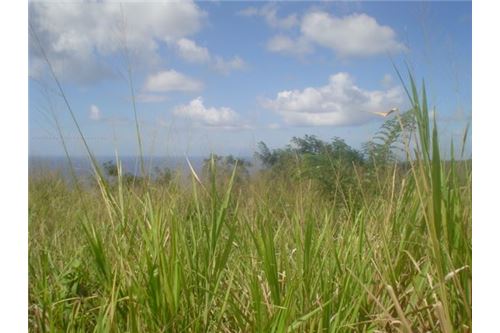 Land - For Sale - Anse La Verdure, Anse-la-Raye, St Lucia - 12 - 902071001-200