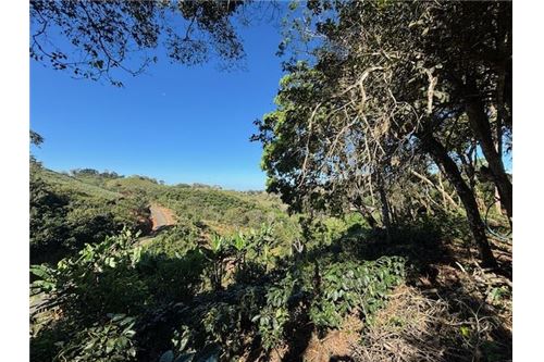 For Sale-Land-Atenas, Alajuela- Atenas, Costa Rica-90128002-902