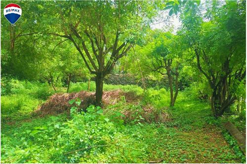 Te Koop-Grondstuk-Managua, Managua, Nicaragua-902521007-7