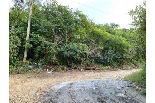 Land - For Sale - Bethlehem Old Work, St Croix, US Virgin Islands - 3 - 90123035-5