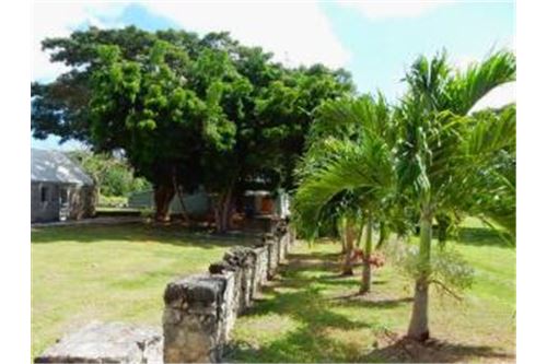 Local Comercial - Venta - Carlton, St Croix, Islas Vírgenes Británicas - 5 - 90123001-1301