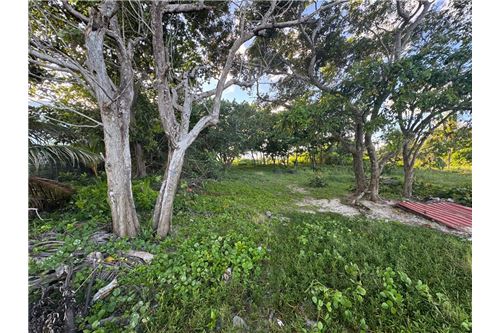 For Sale-Land-Placencia Placencia, Stann Creek District, Belize-90127003-302