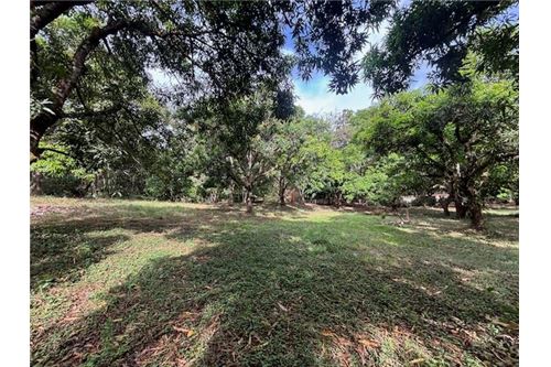 For Sale-Land-Atenas, Alajuela- Atenas, Costa Rica-90128002-919