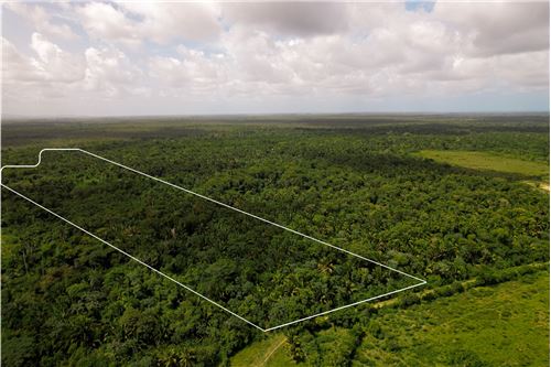 For Sale-Land-Silk Grass Silk Grass, Stann Creek District, Belize-90127035-6