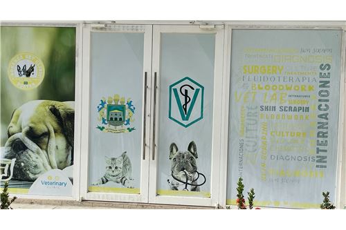 For Sale-Sale of Business-Roatan, Bay Islands, Honduras-90139013-10