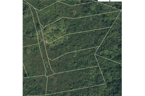 Land - For Sale - Salt River Estate, St Croix, US Virgin Islands - 4 - 90123028-6