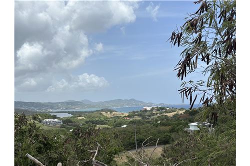 Te Koop-Grondstuk-Mount Pleasant Estate, St Croix, US Virgin Islands-90123004-9