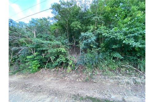 Land - For Sale - Bethlehem Old Work, St Croix, US Virgin Islands - 4 - 90123035-5