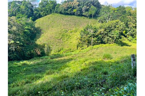 For Sale-Land-Puntarenas, Puntarenas - Puntarenas, Costa Rica-902211013-4