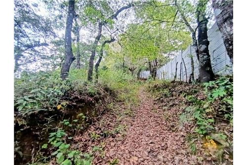 For Sale-Land-La Antigua Guatemala, Sacatepéquez, Guatemala-90129016-50