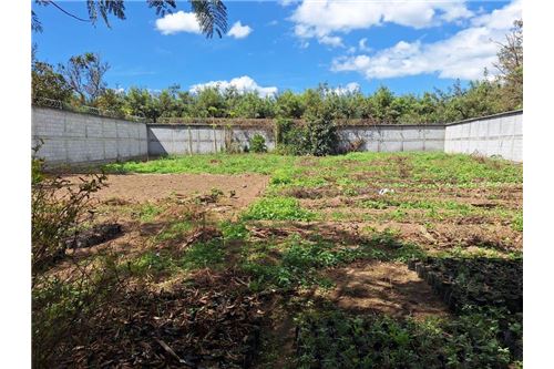 For Sale-Land-San Pedro Las Huertas, Sacatepéquez, Guatemala-90129012-51