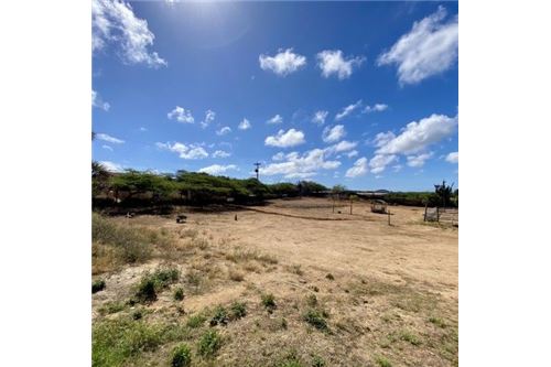 Grondstuk - Te Koop - Santa Cruz, Aruba, Aruba - 11 - 90105001-163