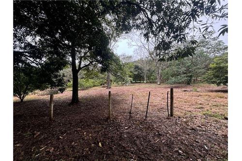 For Sale-Land-Atenas, Alajuela- Atenas, Costa Rica-90128002-883