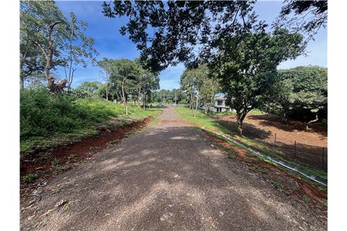 Land-For Sale-Atenas, Alajuela- Atenas, Costa Rica-90128002-974