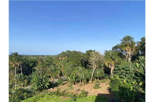 For Sale-Land-Utila, Bay Islands, Honduras-90182002-567