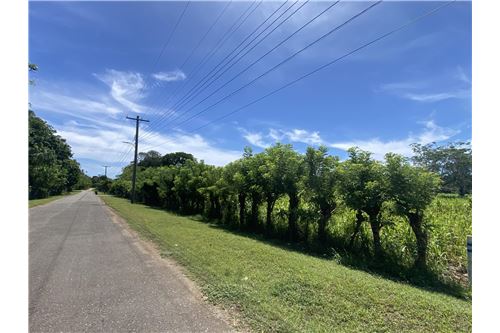 For Sale-Land-Utila, Bay Islands, Honduras-90182002-600