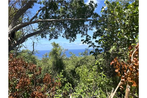 Venta-Lote-Mount Washington and Washington Hill Estate, St Croix, Islas Vírgenes Británicas-90123004-2