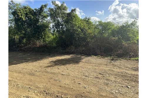 Te Koop-Grondstuk-Hermitage, St Croix, US Virgin Islands-90123004-6