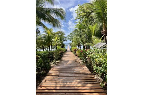 For Sale-Land-Roatan, Bay Islands, Honduras-90143009-243