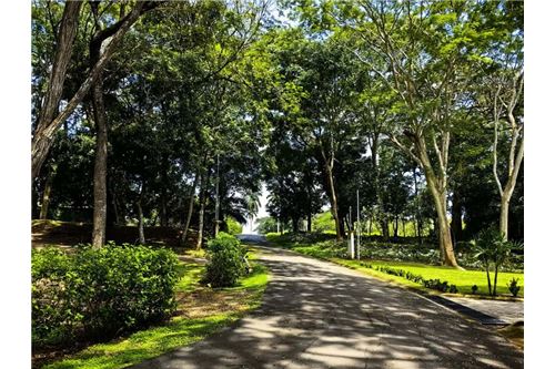 Land-For Sale-Orotina, Alajuela- Orotina, Costa Rica-902701010-1