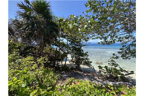 For Sale-Land-Utila, Bay Islands, Honduras-90182002-573