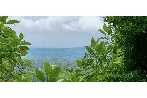 For Sale-Land-Puntarenas, Puntarenas - Puntarenas, Costa Rica-902211015-1
