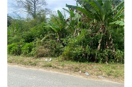For Sale-Land-Tabaquite, Caroni, Trinidad and Tobago-90155109-149