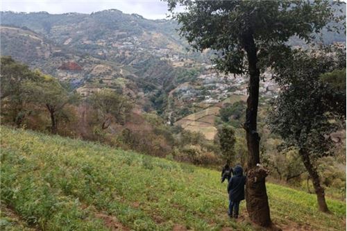 Land - For Sale - San Bartolomé Milpas Altas, Sacatepéquez, Guatemala - 2 - 902091022-2