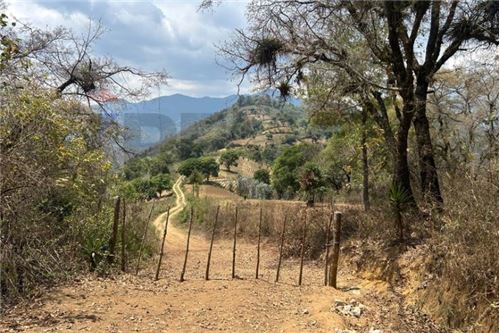 Land - For Sale - San Bartolomé Milpas Altas, Sacatepéquez, Guatemala - 5 - 902091022-2