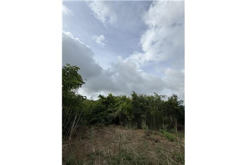 Te Koop-Grondstuk-Little La Grange Estate, St Croix, US Virgin Islands-90123001-1318