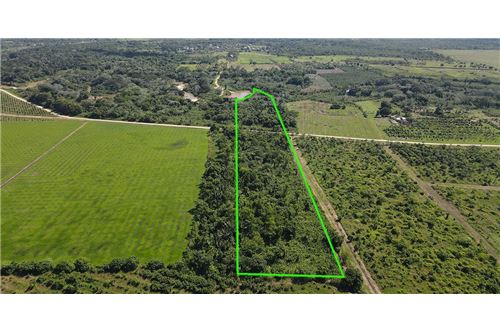 Land-For Sale-Sarawina, Stann Creek District, Belize-901911013-58