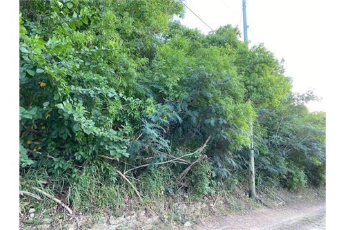 Land - For Sale - Bethlehem Old Work, St Croix, US Virgin Islands - 6 - 90123035-5