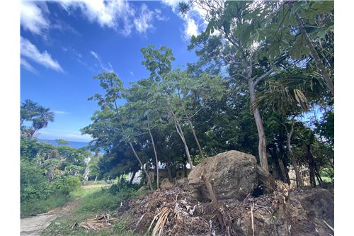 For Sale-Land-Utila, Bay Islands, Honduras-90182002-605