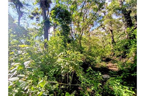 For Sale-Land-La Antigua Guatemala, Sacatepéquez, Guatemala-90129016-49