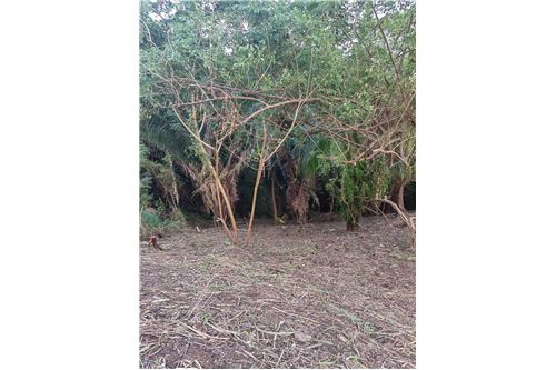 For Sale-Land-Roatan, Bay Islands, Honduras-90143009-198