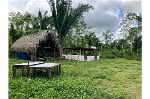 For Sale-Land-Swasey River Red Bank, Stann Creek District, Belize-90127016-278