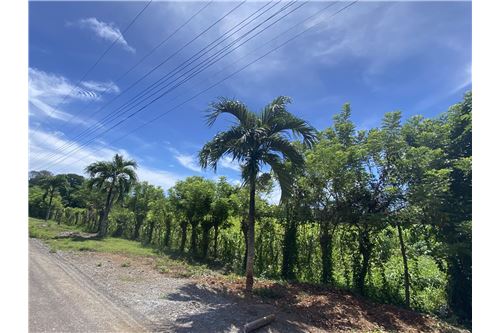 For Sale-Land-Utila, Bay Islands, Honduras-90182002-601
