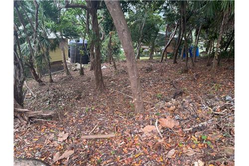 For Sale-Land-Utila, Bay Islands, Honduras-90182002-521