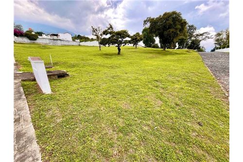 For Sale-Land-La Antigua Guatemala, Sacatepéquez, Guatemala-90129010-51