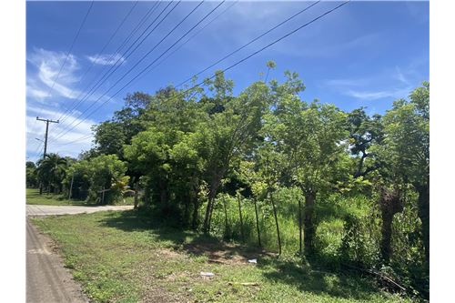For Sale-Land-Utila, Bay Islands, Honduras-90182002-599