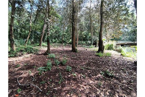 For Sale-Land-San Lucas Sacatepéquez, Sacatepéquez, Guatemala-90129016-2