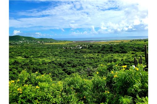 Te Koop-Grondstuk-Marienhoj Estate, St Croix, US Virgin Islands-90123034-91